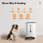 Automatic Pet Feeder