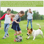 Interactive Soccer Ball for Dogs