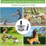 Interactive Soccer Ball for Dogs