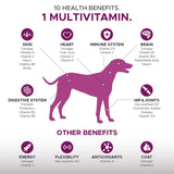 10-in-1 Dog Multivitamin with Glucosamine