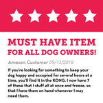 Kong Dog Chew Toy - Medium