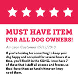 Kong Dog Chew Toy - Medium