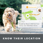 Ultimate Health & Location Tracker for Pets - Green